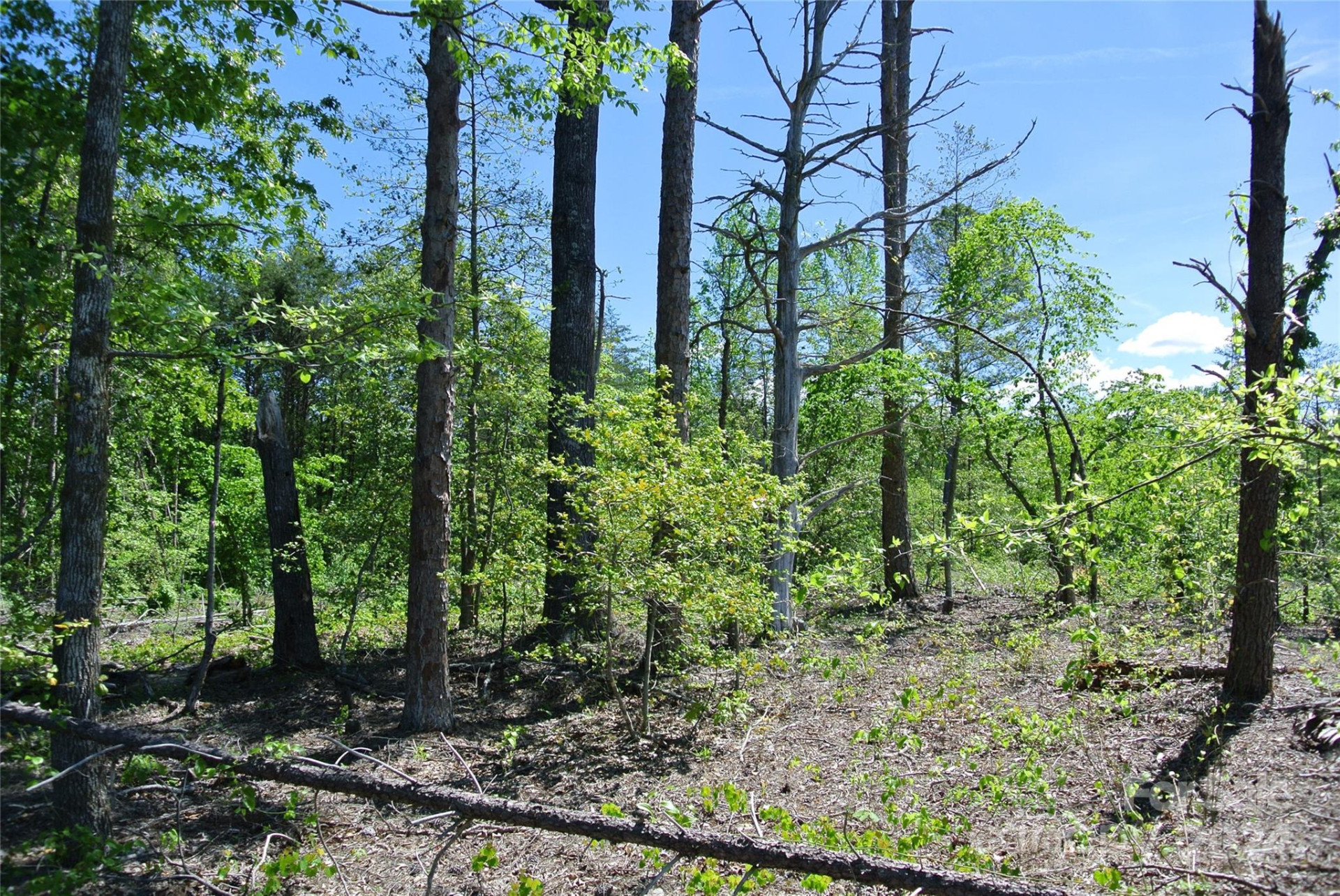 0 Hopper Road - Photo 19