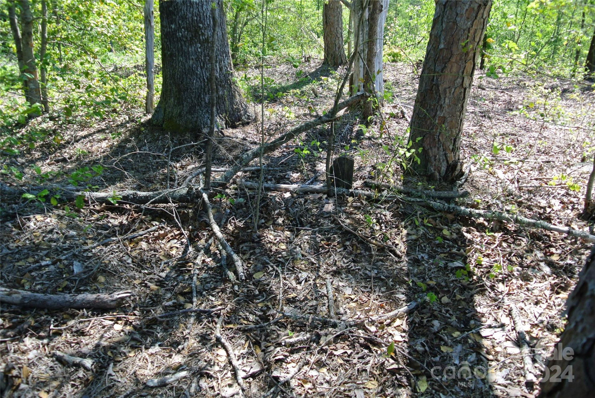 0 Hopper Road - Photo 20