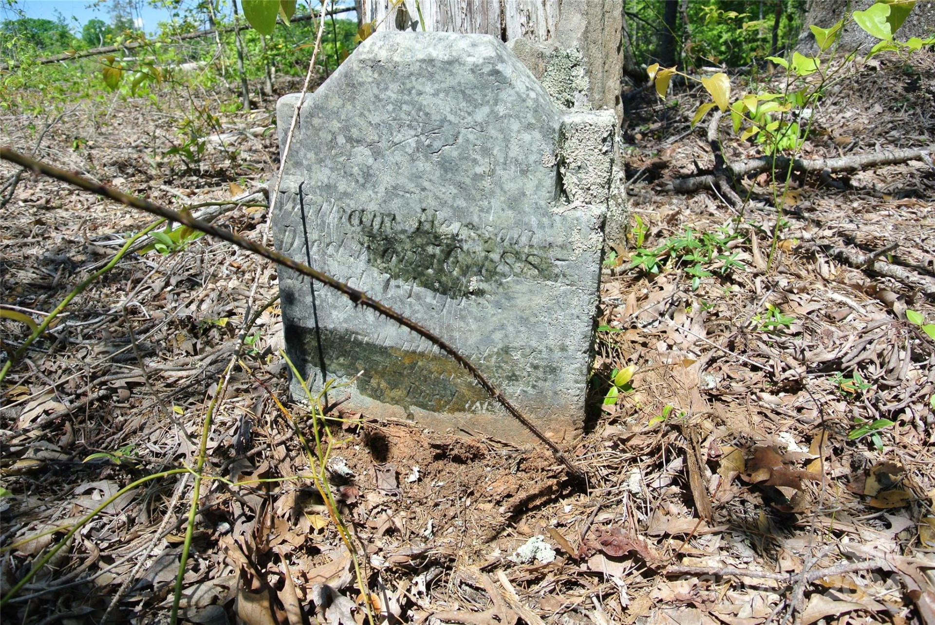 0 Hopper Road - Photo 22