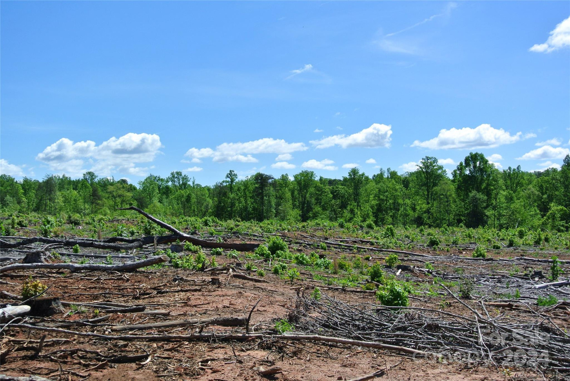 0 Hopper Road - Photo 10