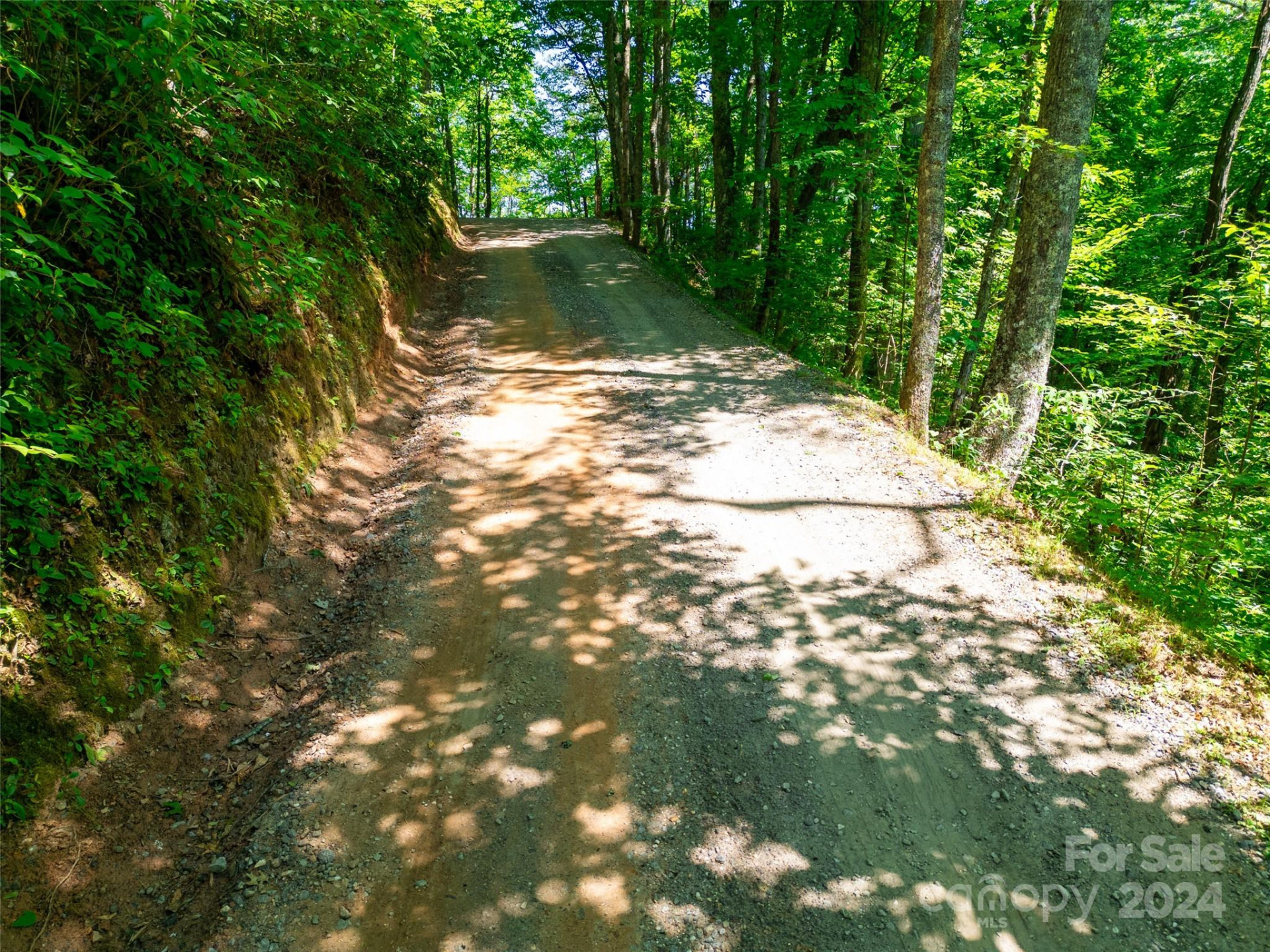 Lot 31 White Falcon Drive - Photo 4