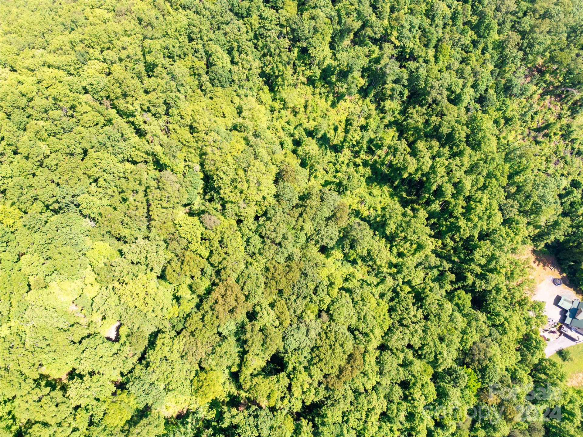 Lot 31 White Falcon Drive - Photo 6