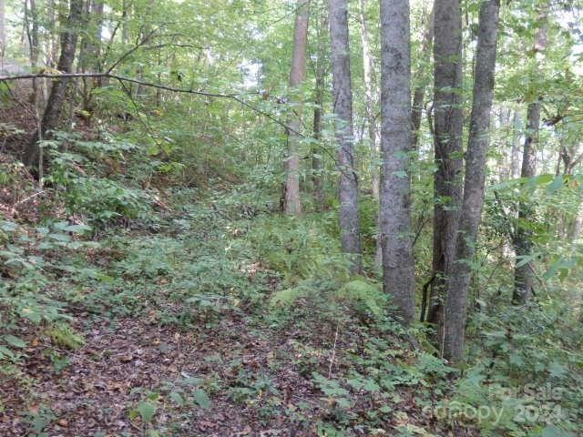 Lot 31 White Falcon Drive - Photo 7