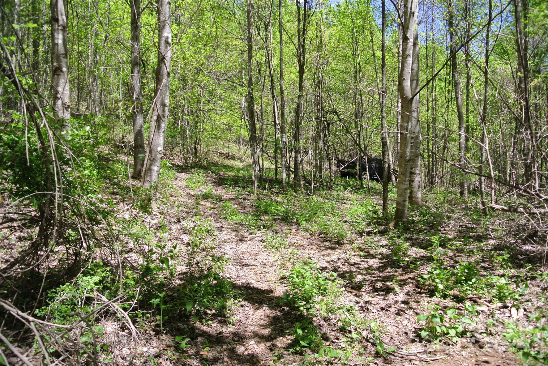 0 Pond Road - Photo 2