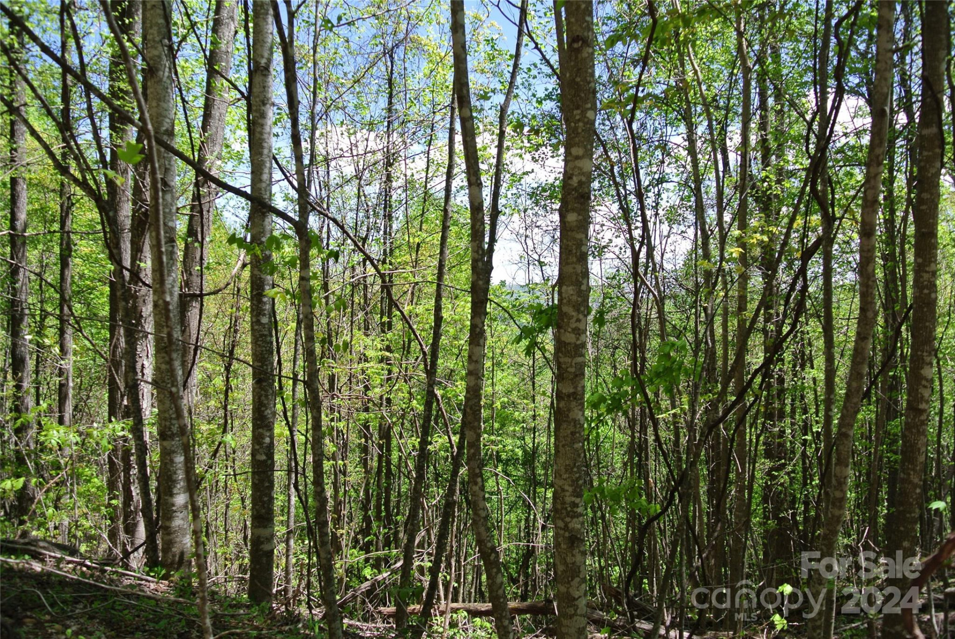 0 Pond Road - Photo 3