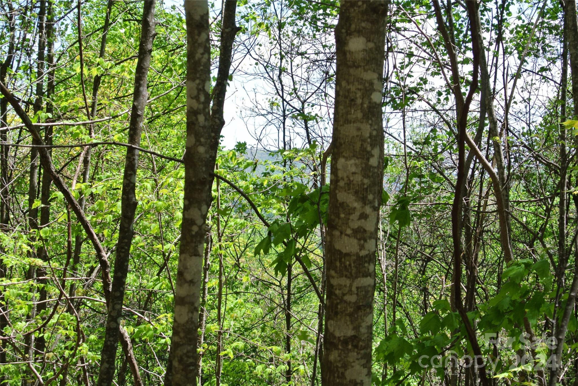 0 Pond Road - Photo 4