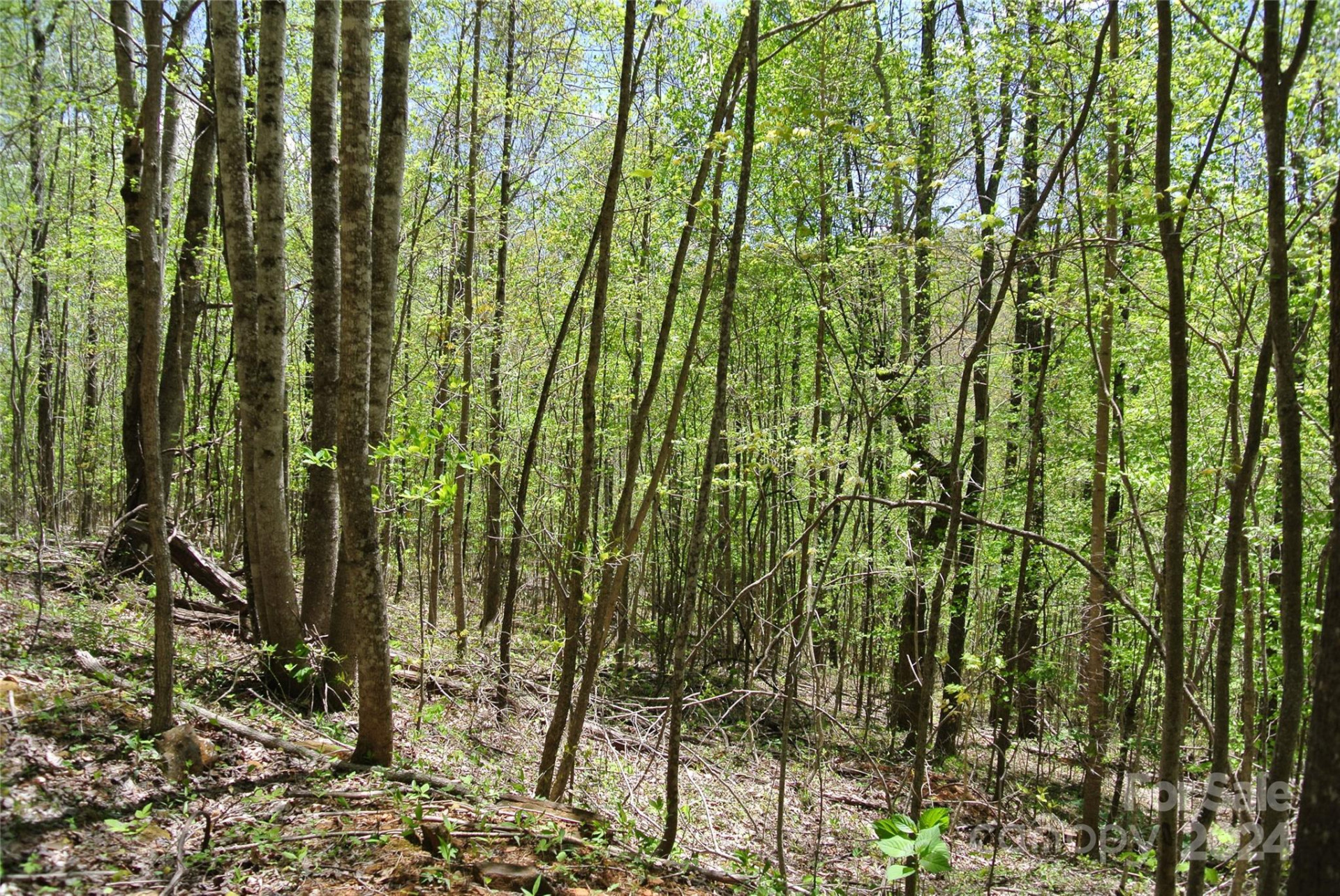 0 Pond Road - Photo 5