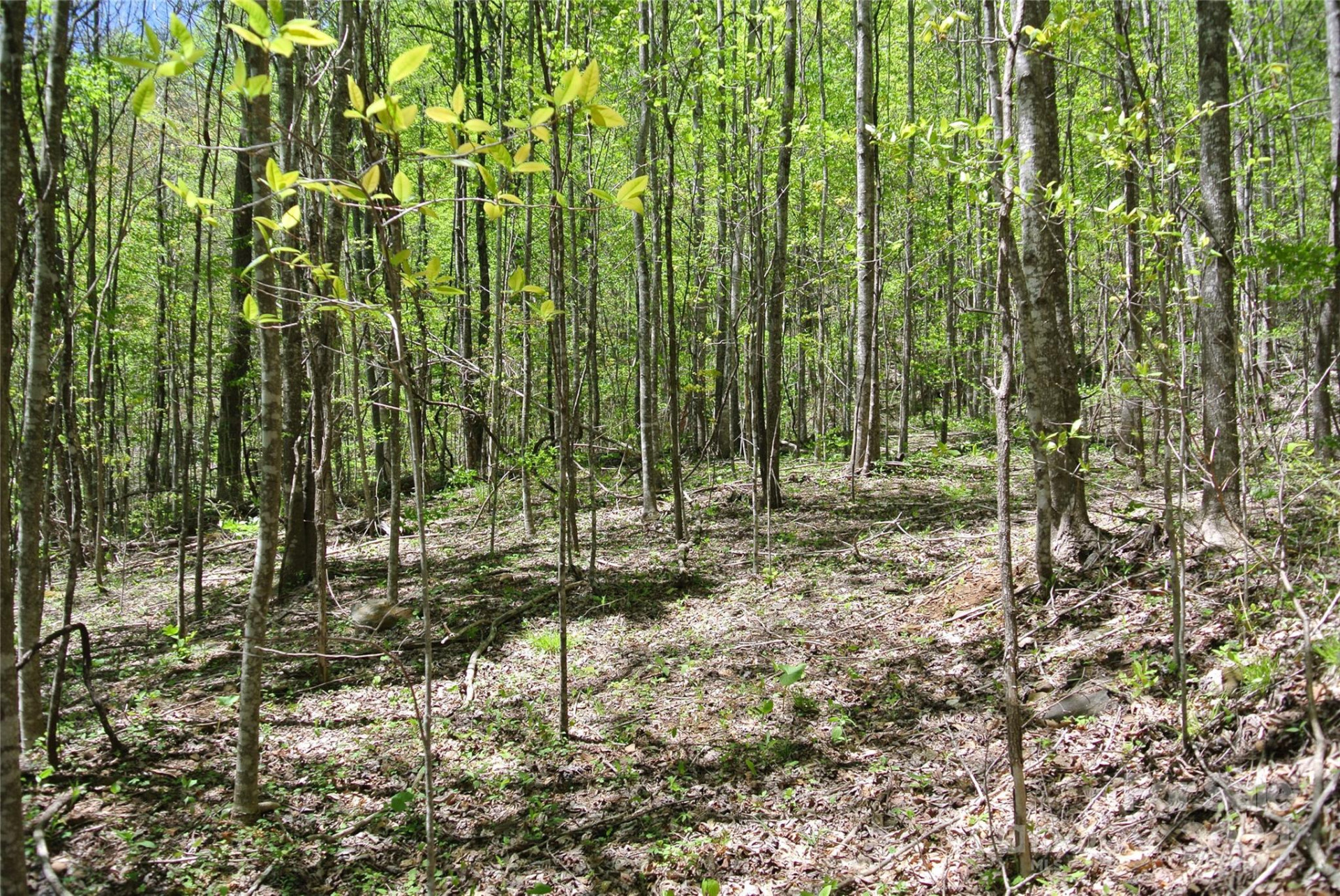 0 Pond Road - Photo 7