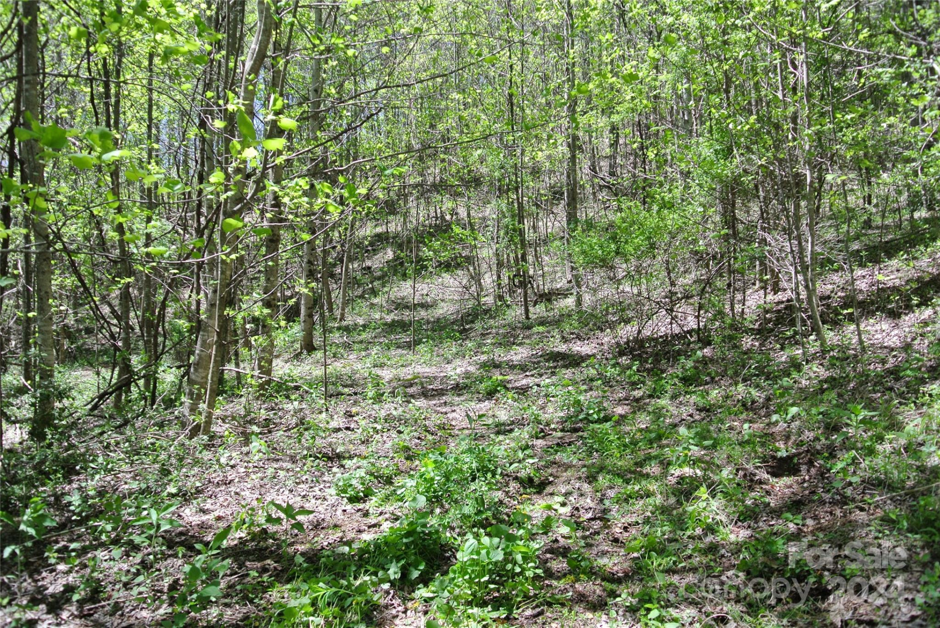 0 Pond Road - Photo 8