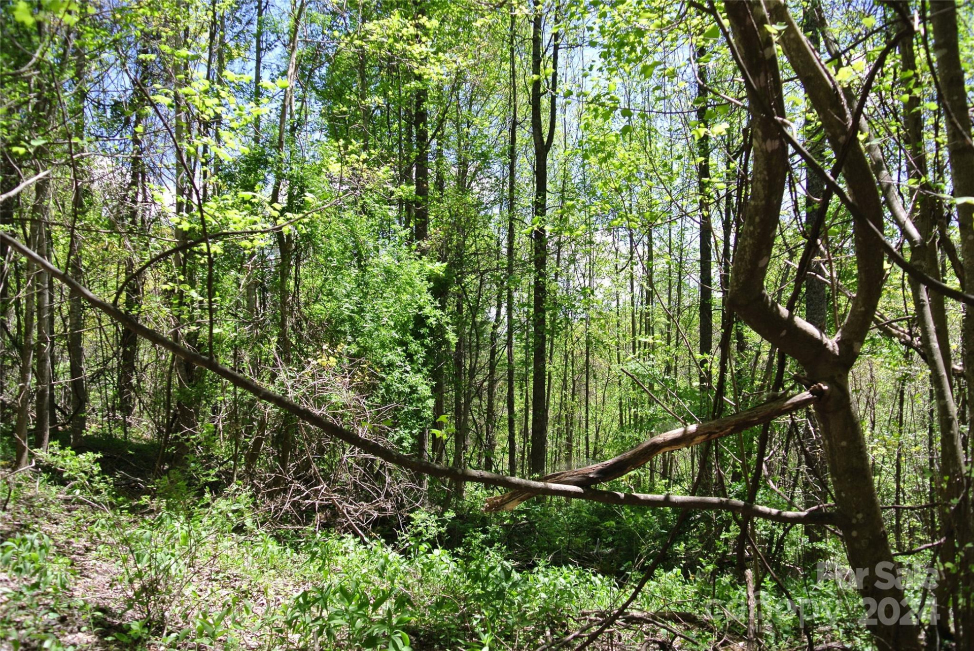 0 Pond Road - Photo 9