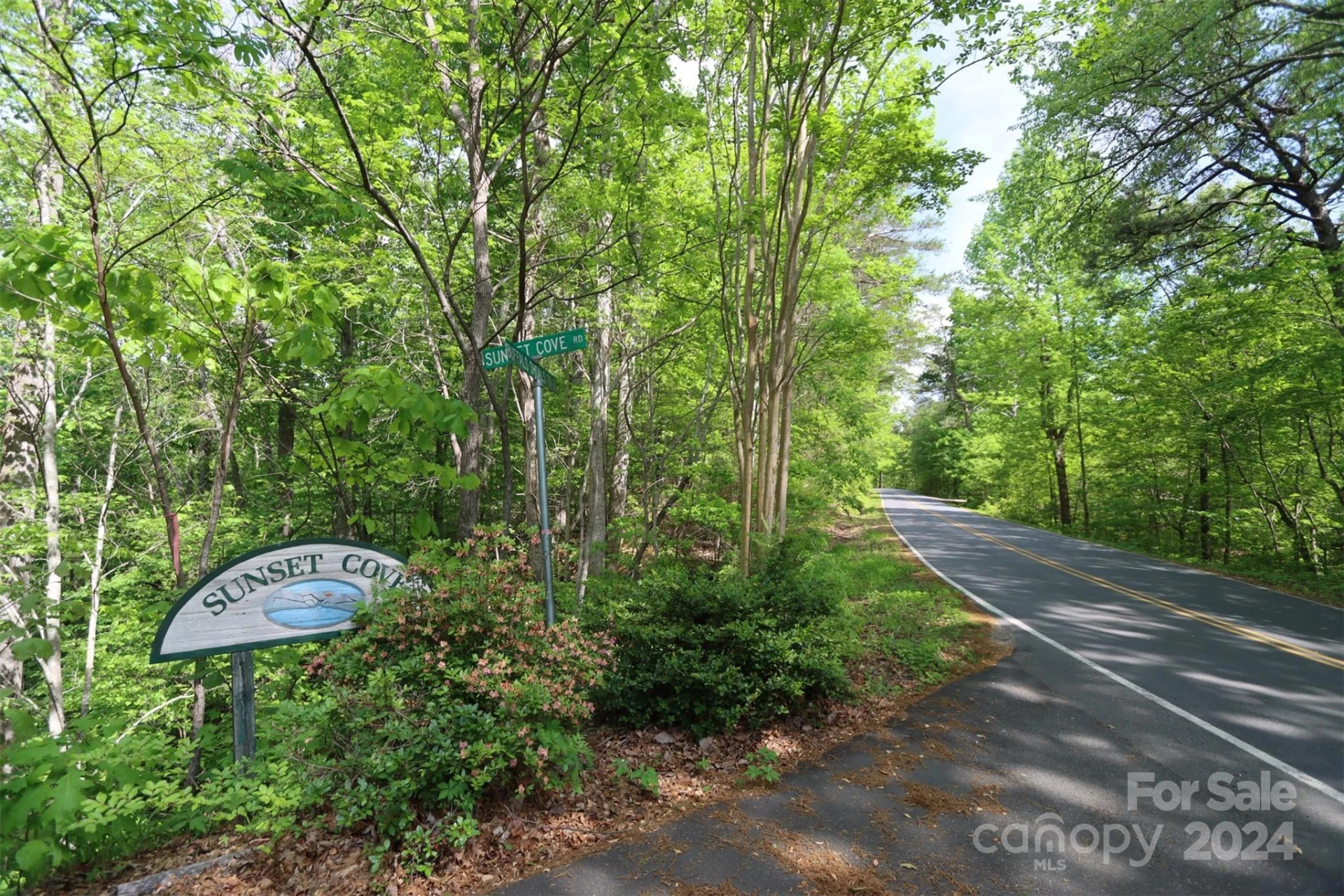 00 Buffalo Shoals Road