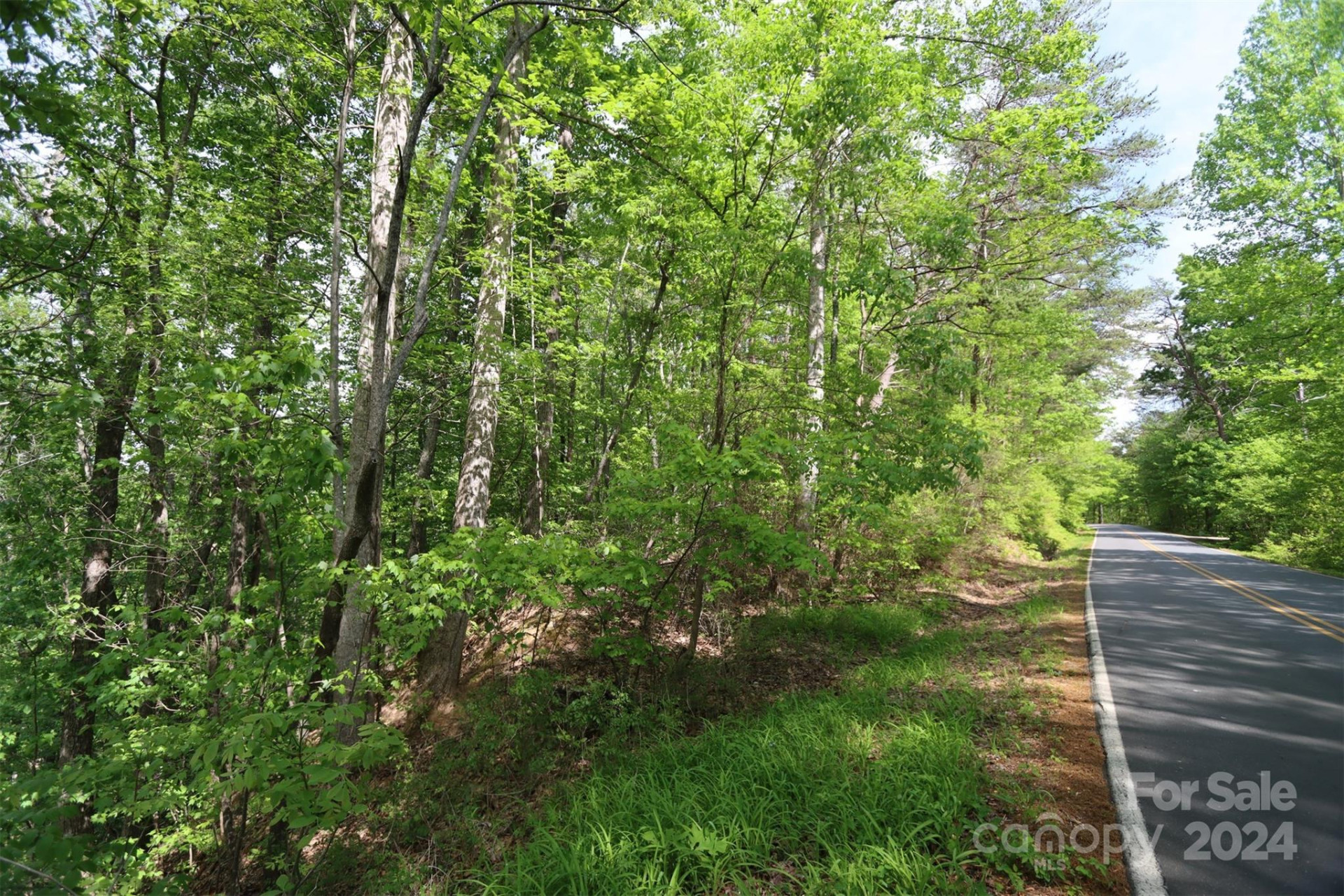 00 Buffalo Shoals Road - Photo 2