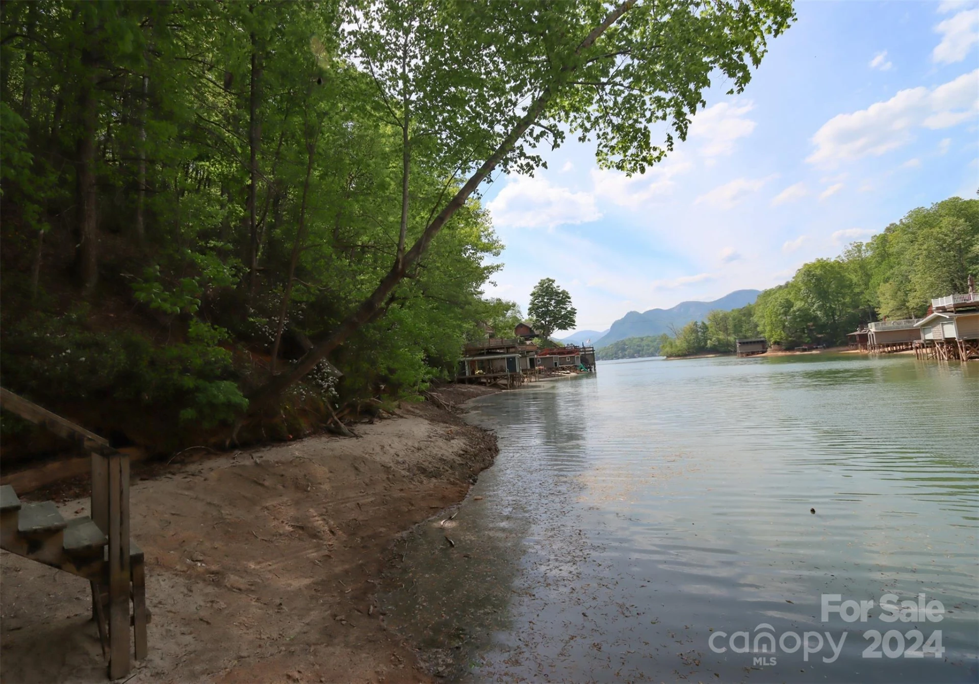 00 Buffalo Shoals Road - Photo 11