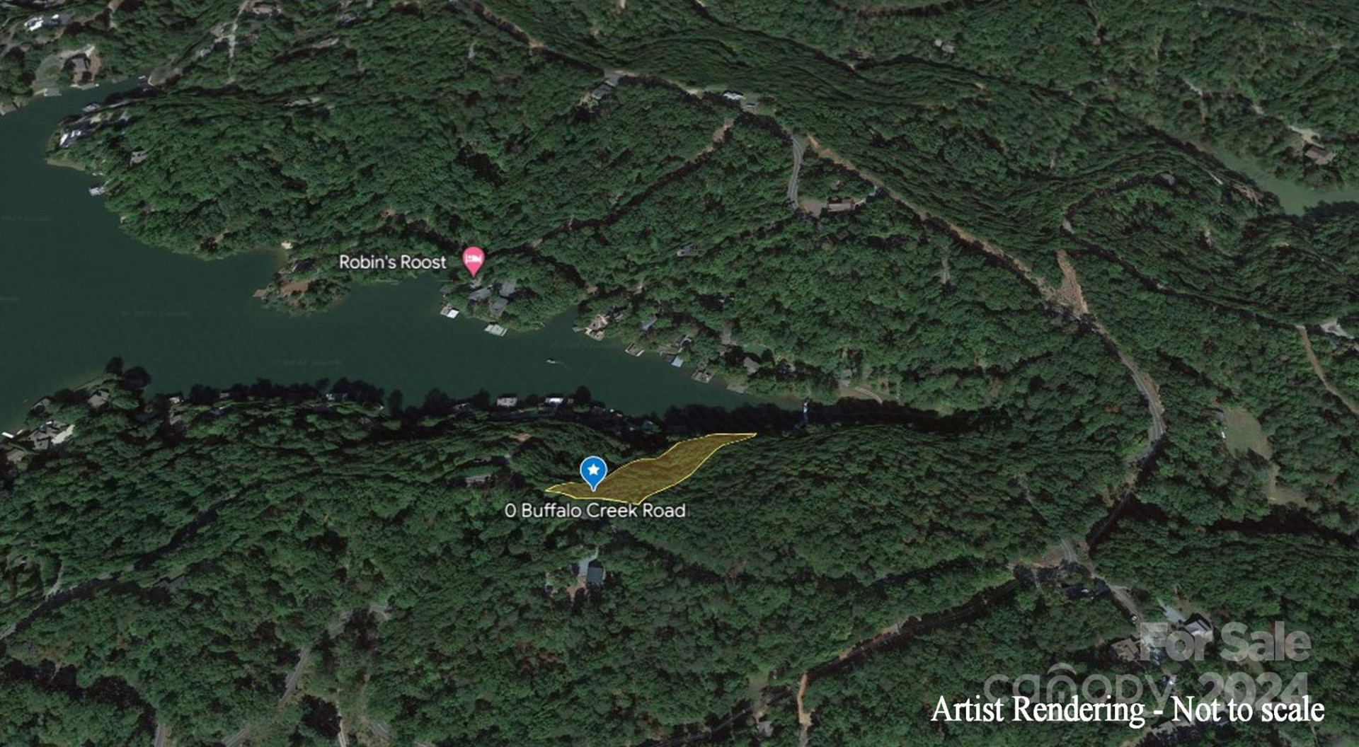 00 Buffalo Shoals Road - Photo 12