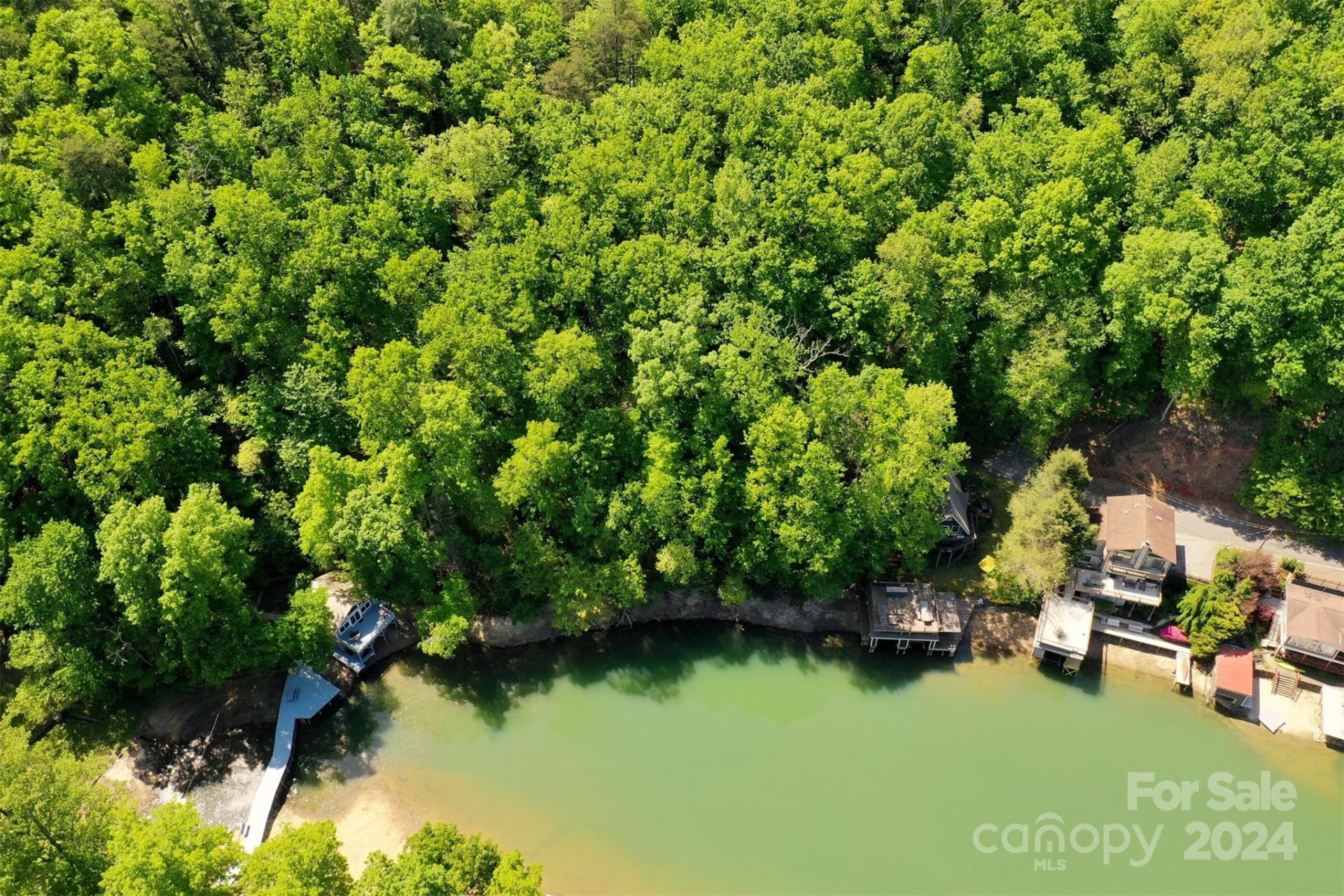 00 Buffalo Shoals Road - Photo 5