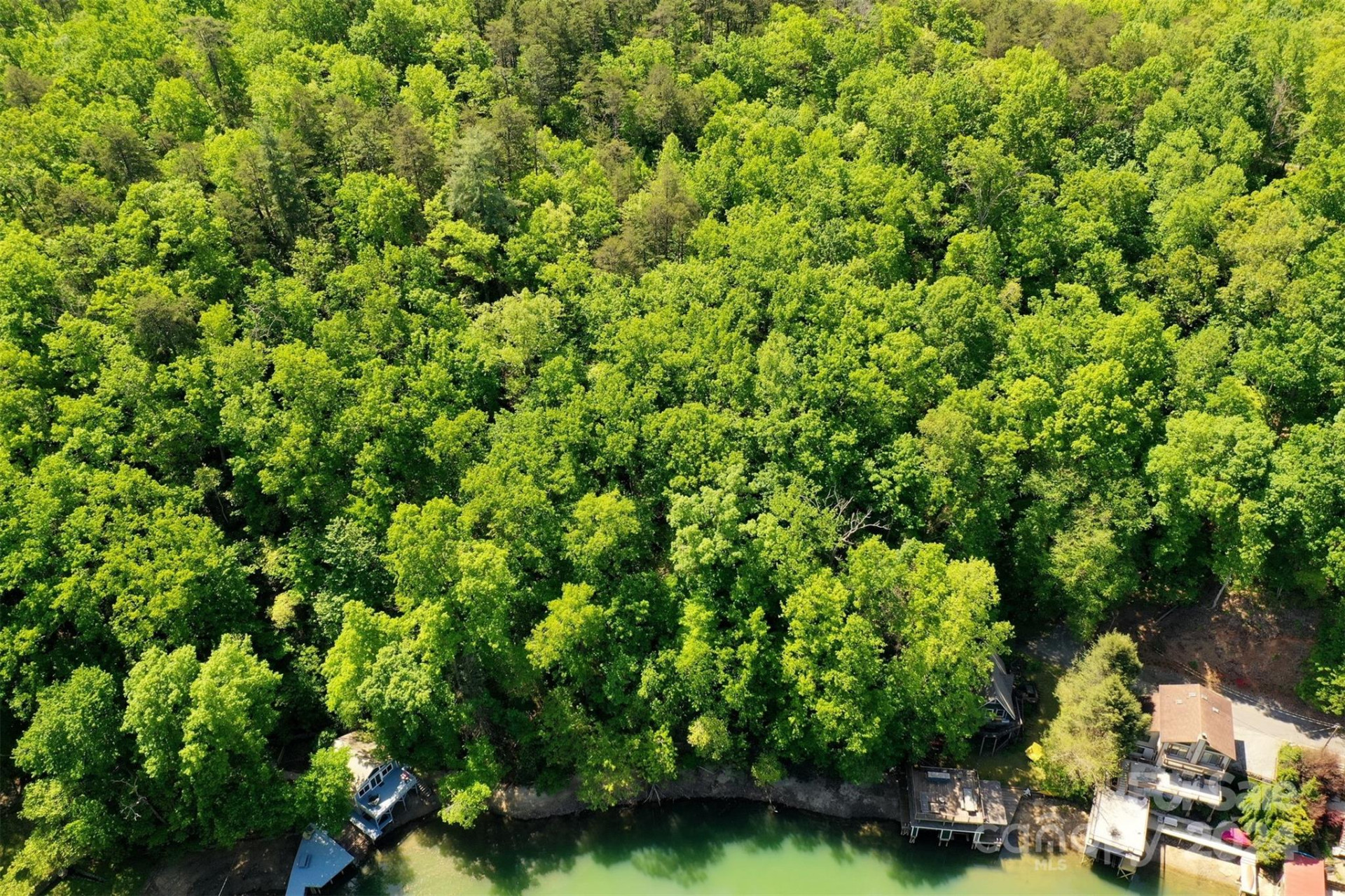 00 Buffalo Shoals Road - Photo 6