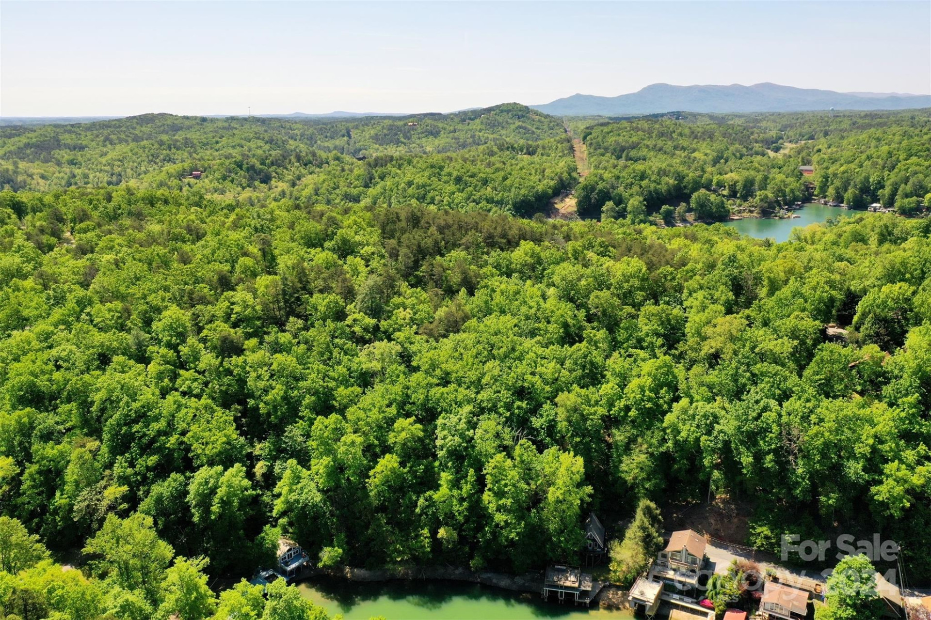 00 Buffalo Shoals Road - Photo 7