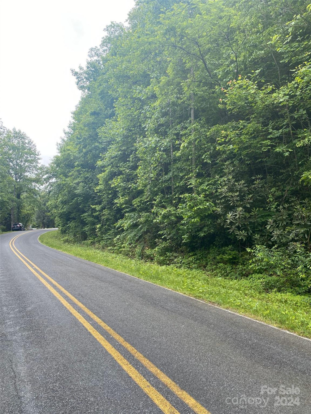 0 Cedar Creek Road #61 - Photo 2