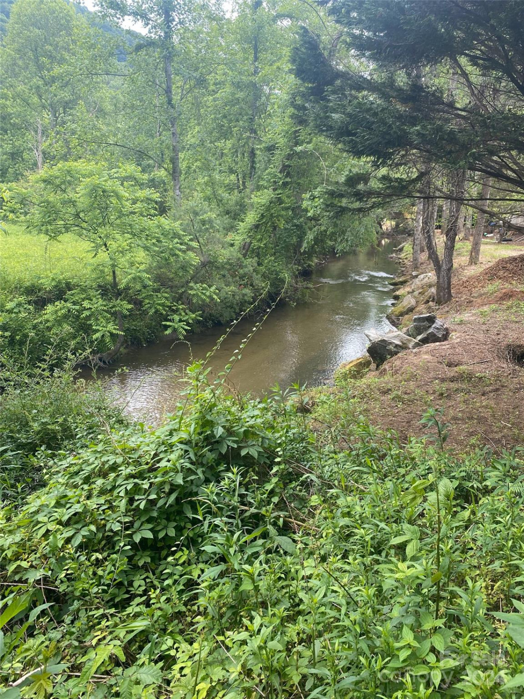 0 Cedar Creek Road #61 - Photo 11