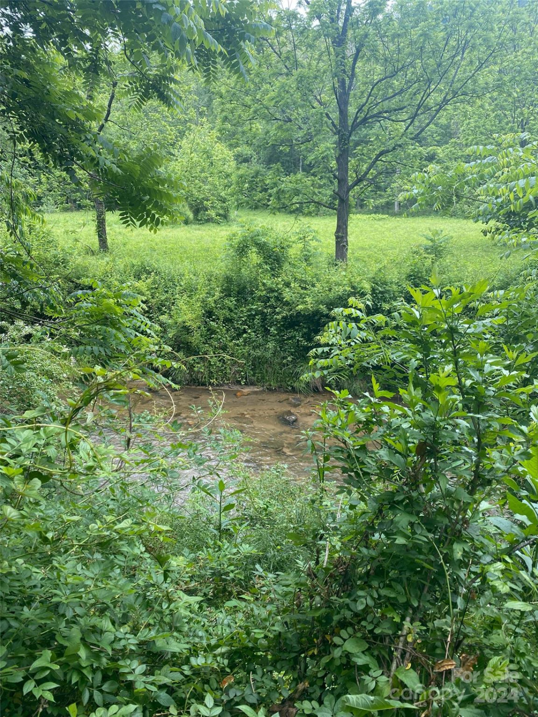 0 Cedar Creek Road #61 - Photo 12