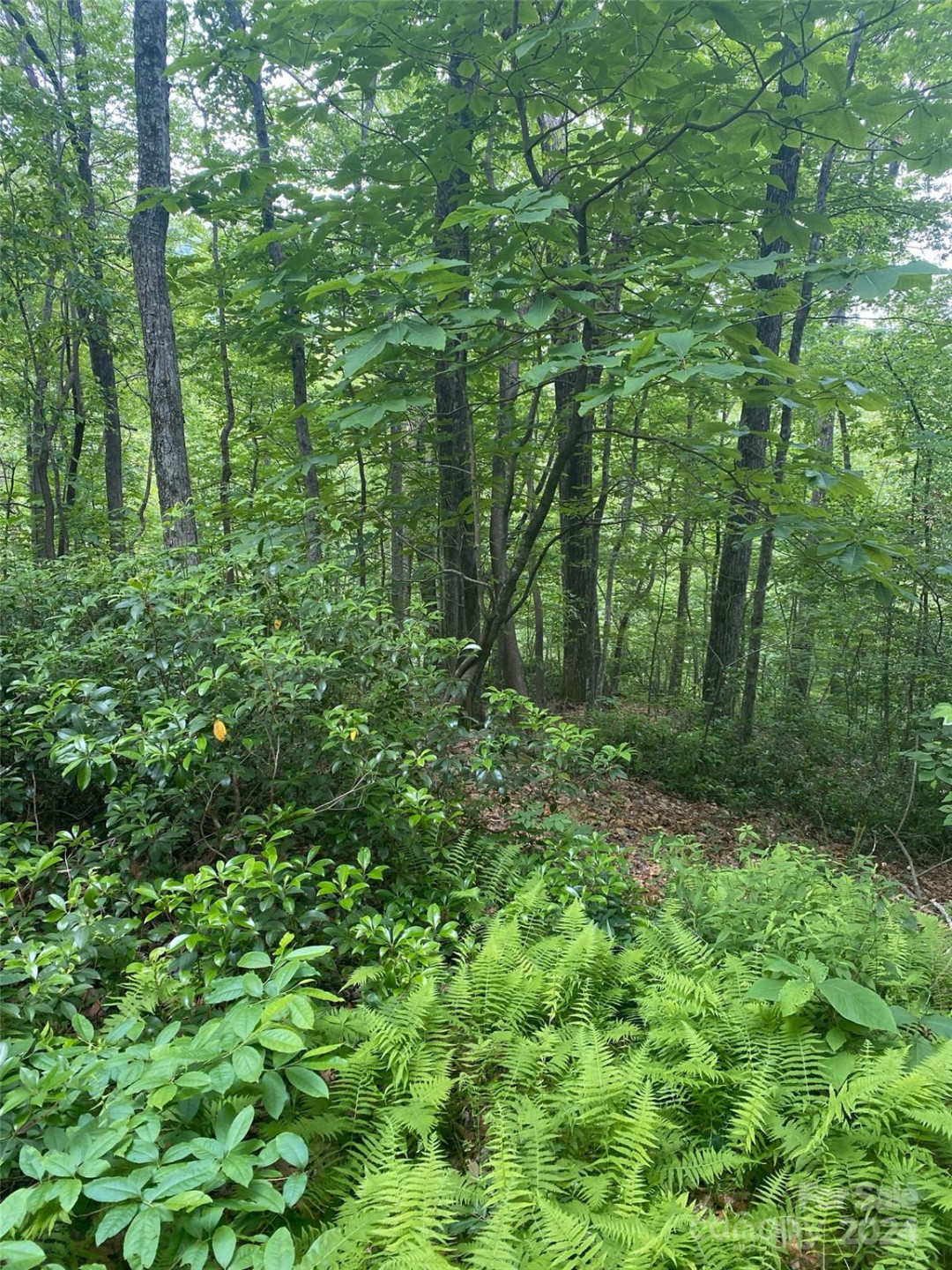 0 Cedar Creek Road #61 - Photo 5