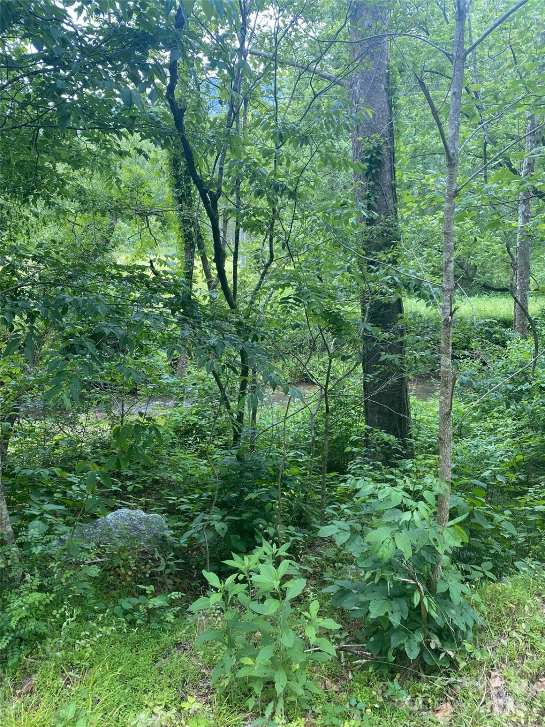 0 Cedar Creek Road #61 - Photo 7