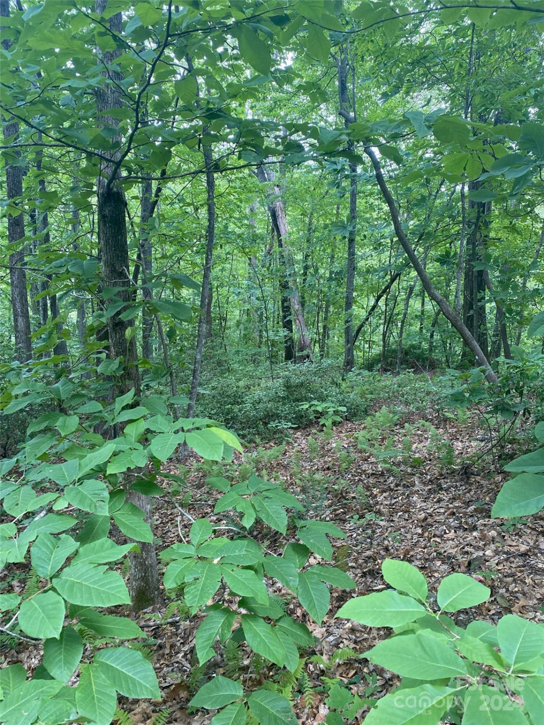 0 Cedar Creek Road #61 - Photo 8