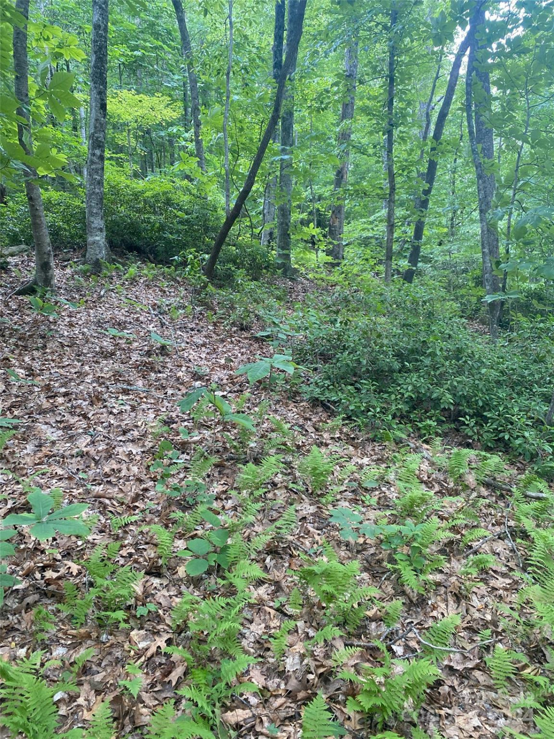 0 Cedar Creek Road #61 - Photo 9