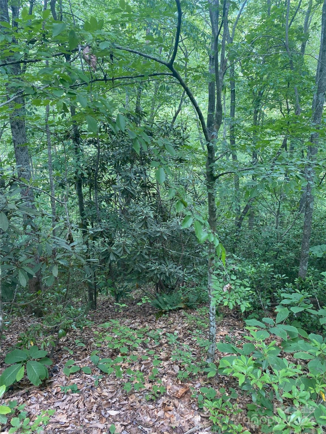 0 Cedar Creek Road #61 - Photo 10