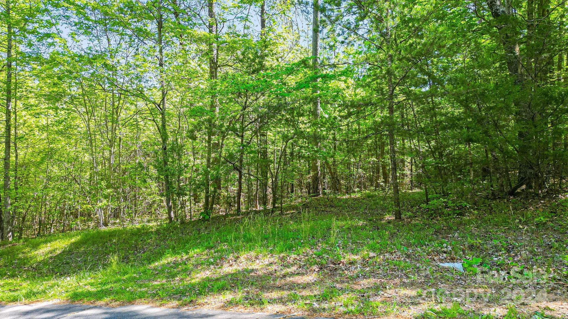 0 W T Wilkins Road #11 - Photo 2