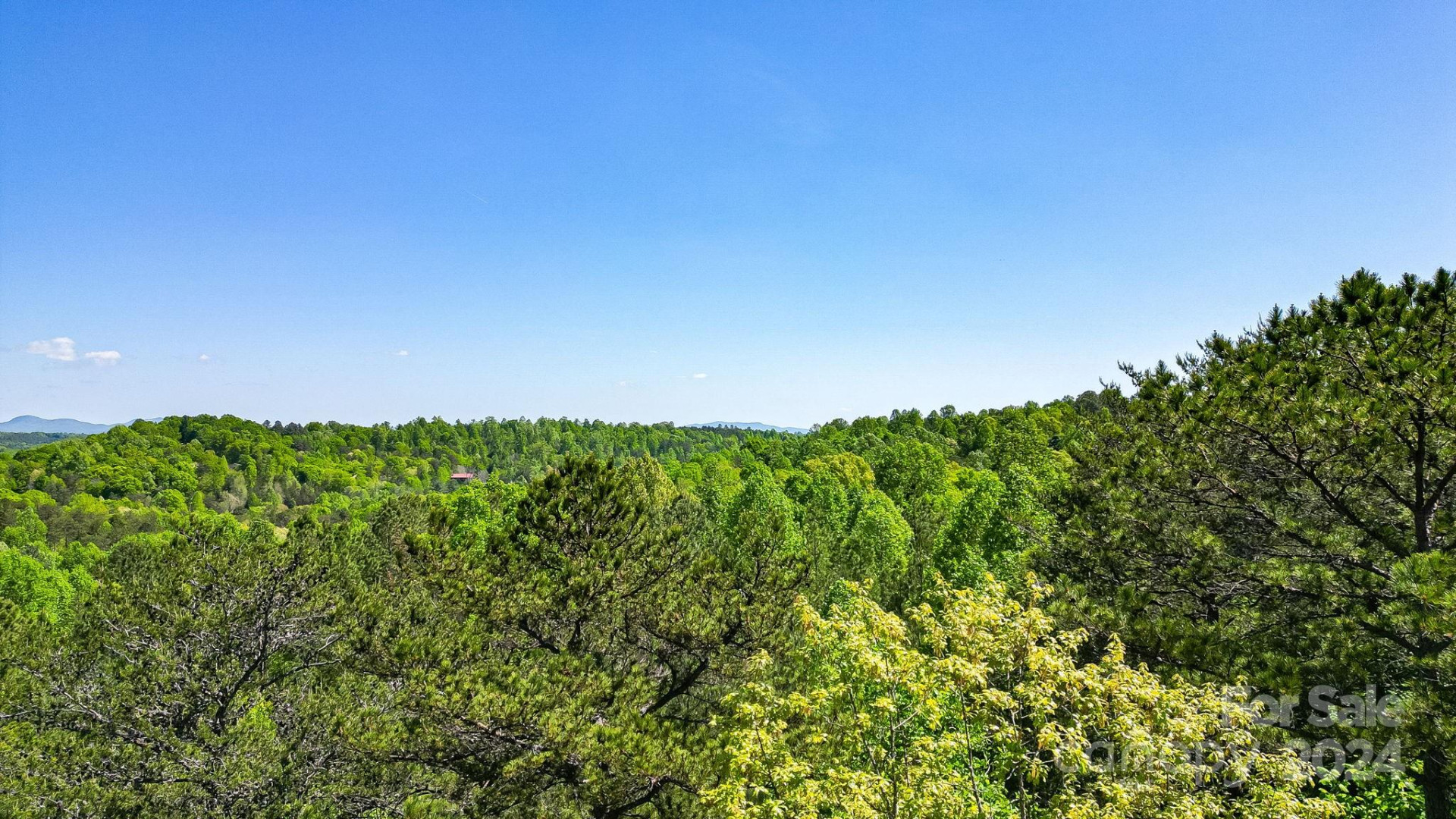 0 W T Wilkins Road #11 - Photo 11