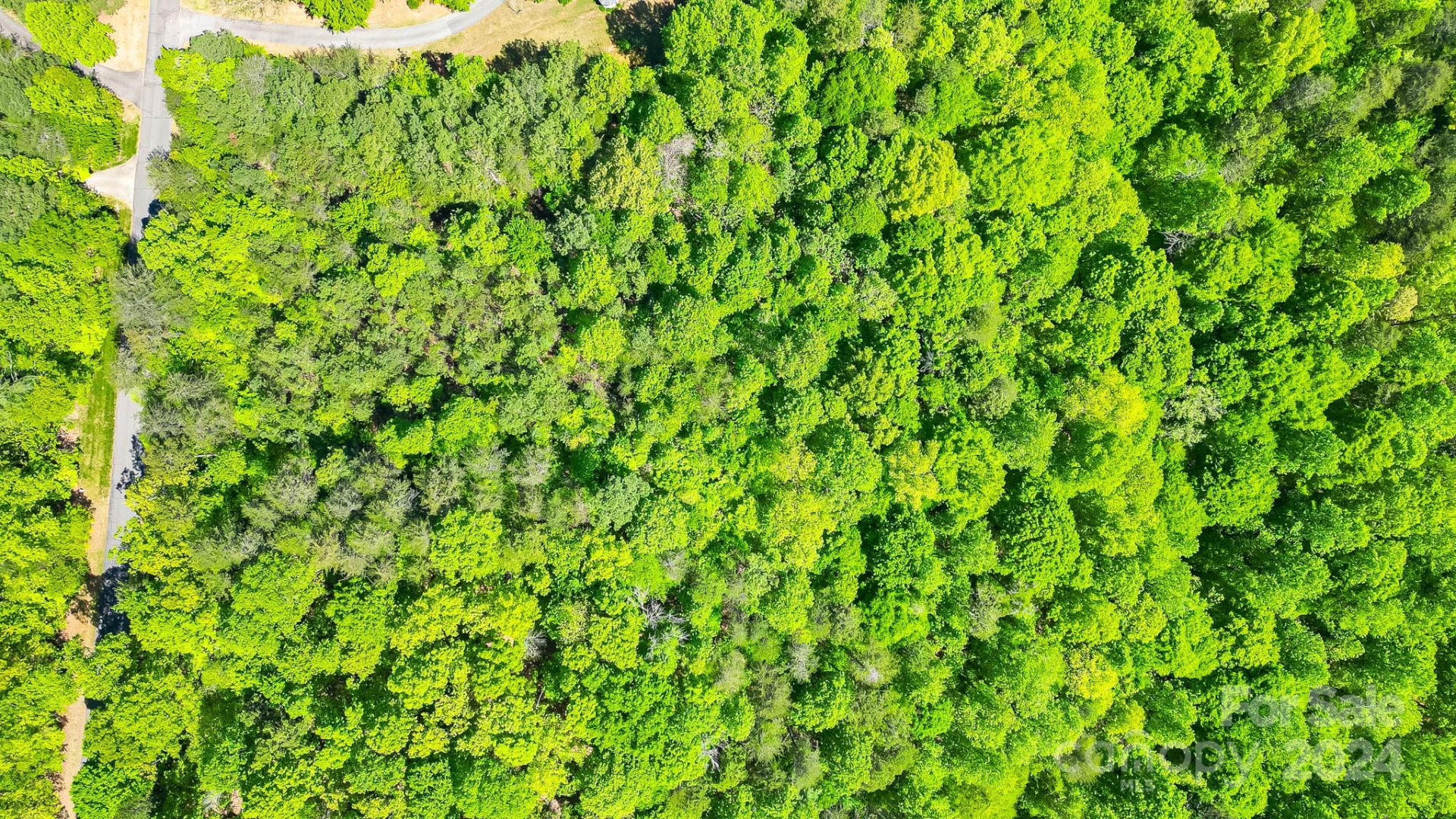 0 W T Wilkins Road #11 - Photo 22