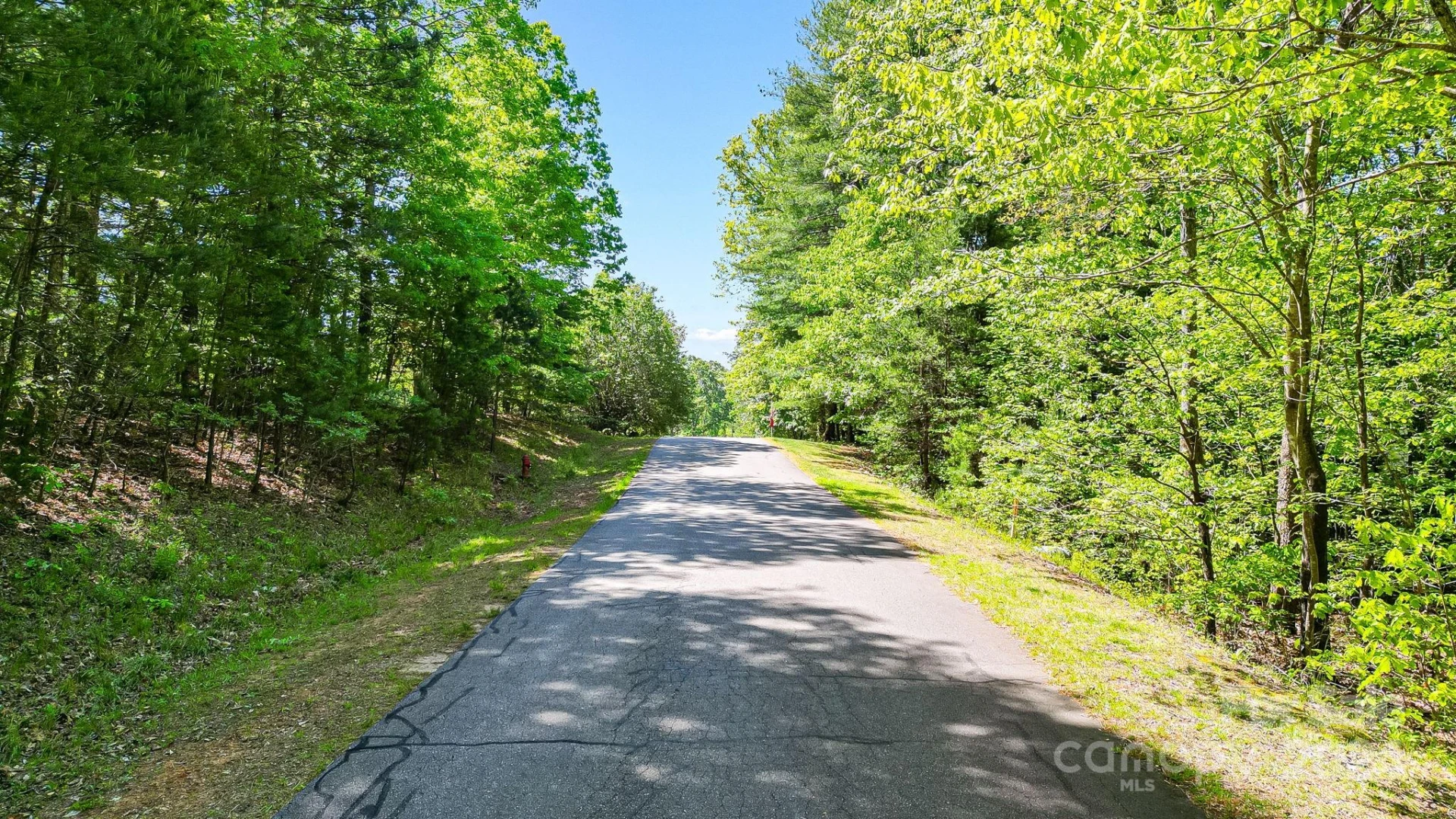 0 W T Wilkins Road #11 - Photo 24