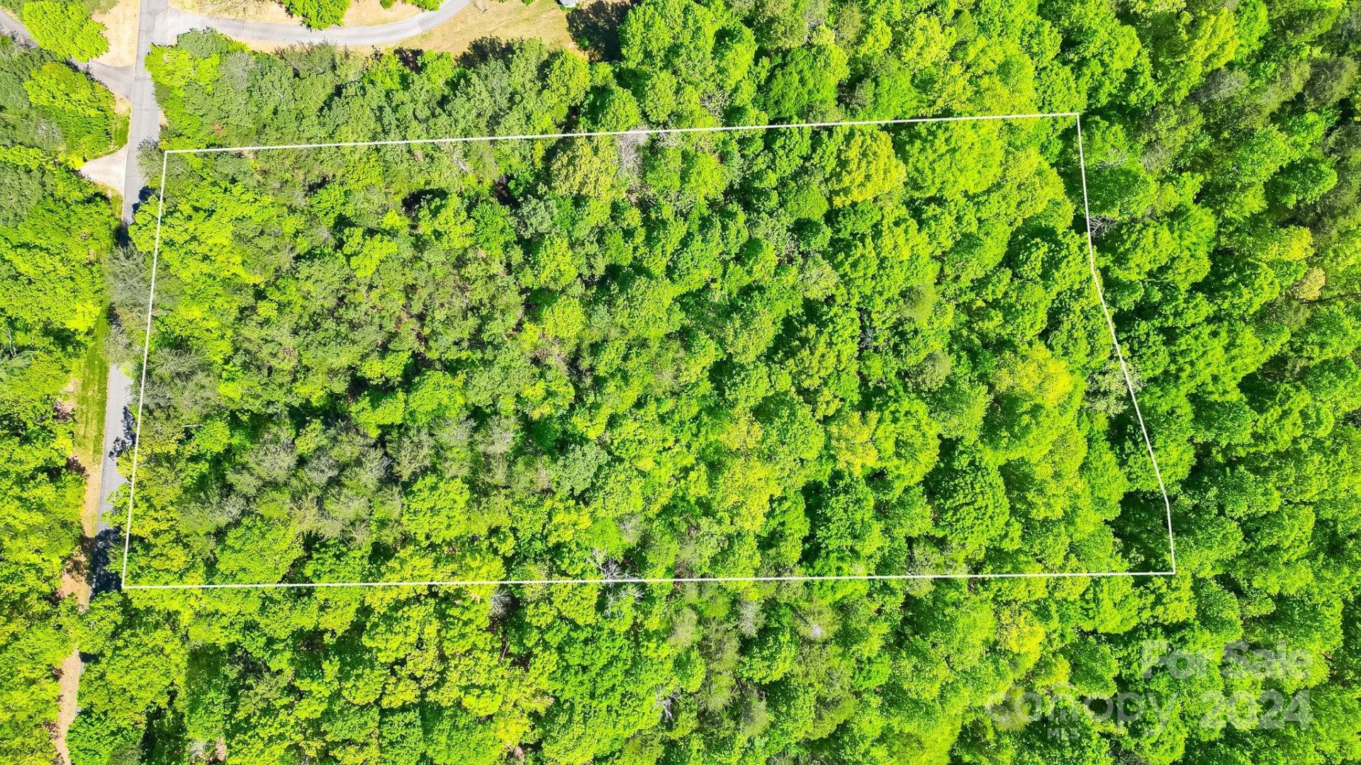 0 W T Wilkins Road #11 - Photo 5