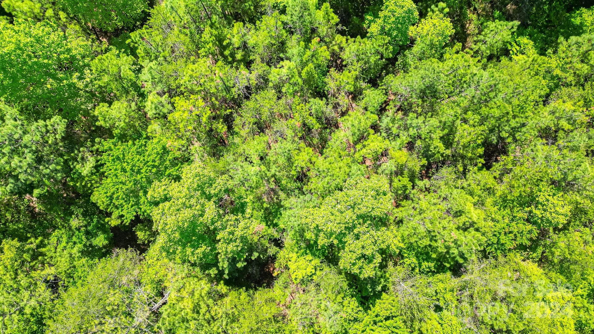 0 W T Wilkins Road #11 - Photo 9