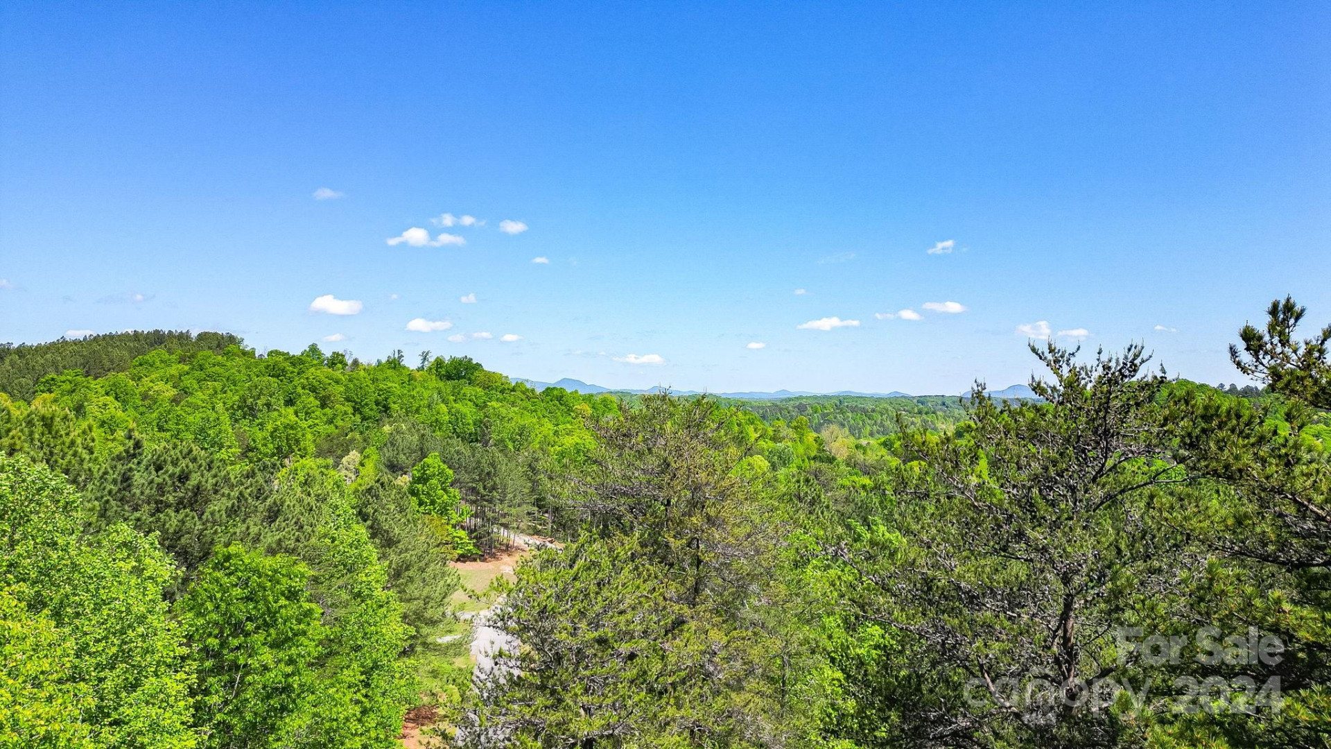 0 W T Wilkins Road #11 - Photo 10