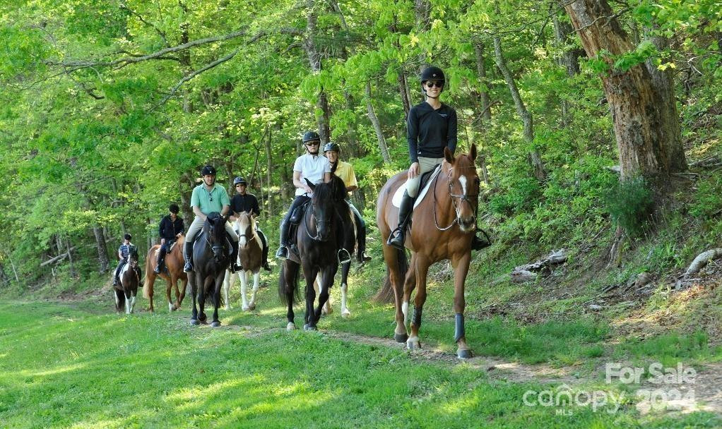 236 Nottingham Drive - Photo 6