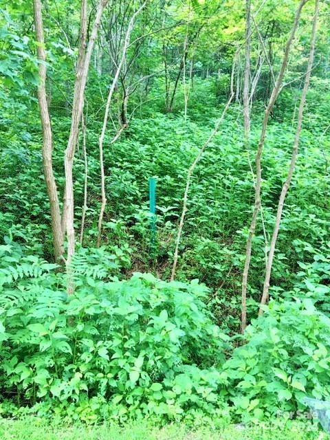 236 Nottingham Drive - Photo 9