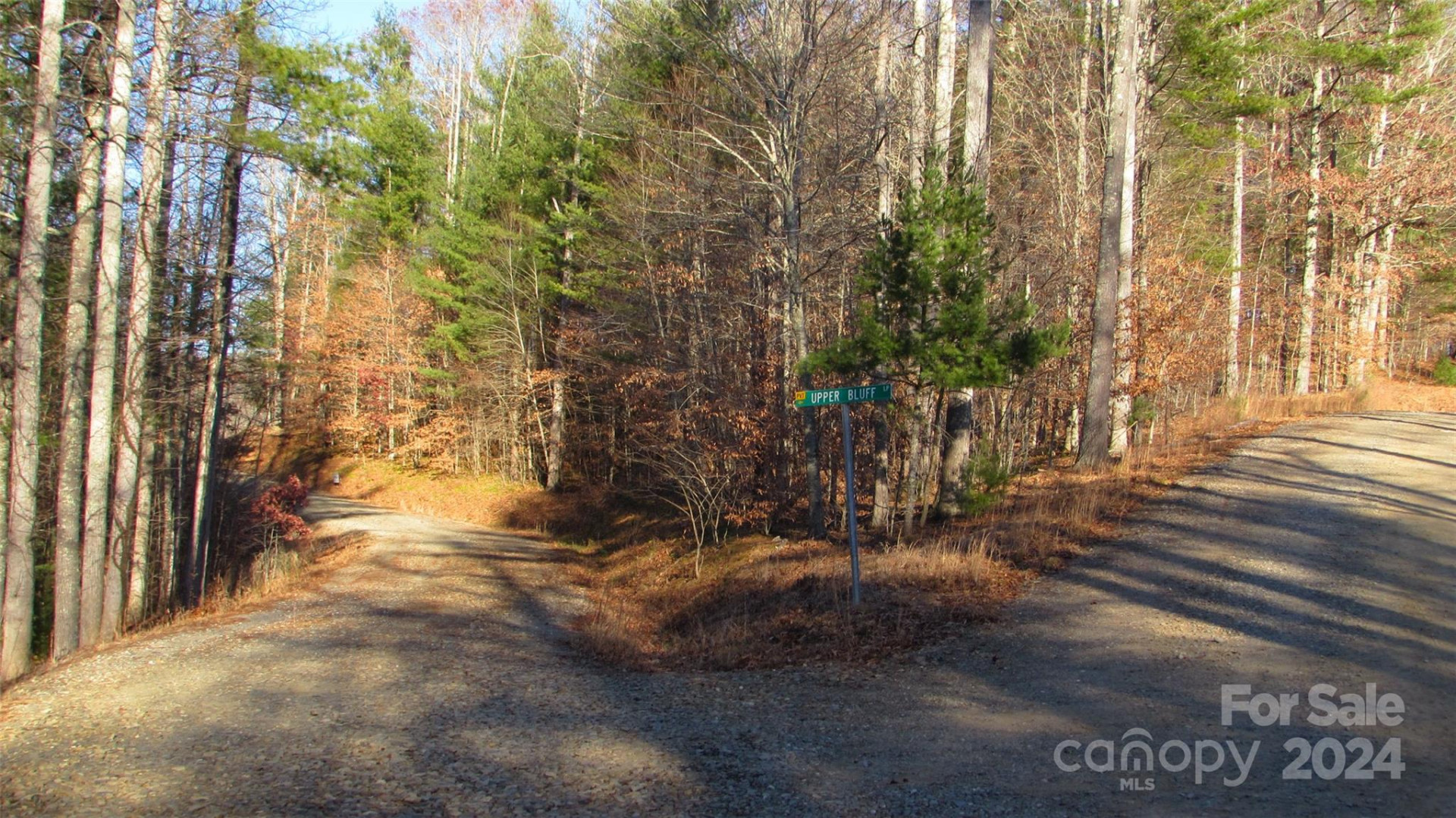 00 High Peak Drive #61 - Photo 2