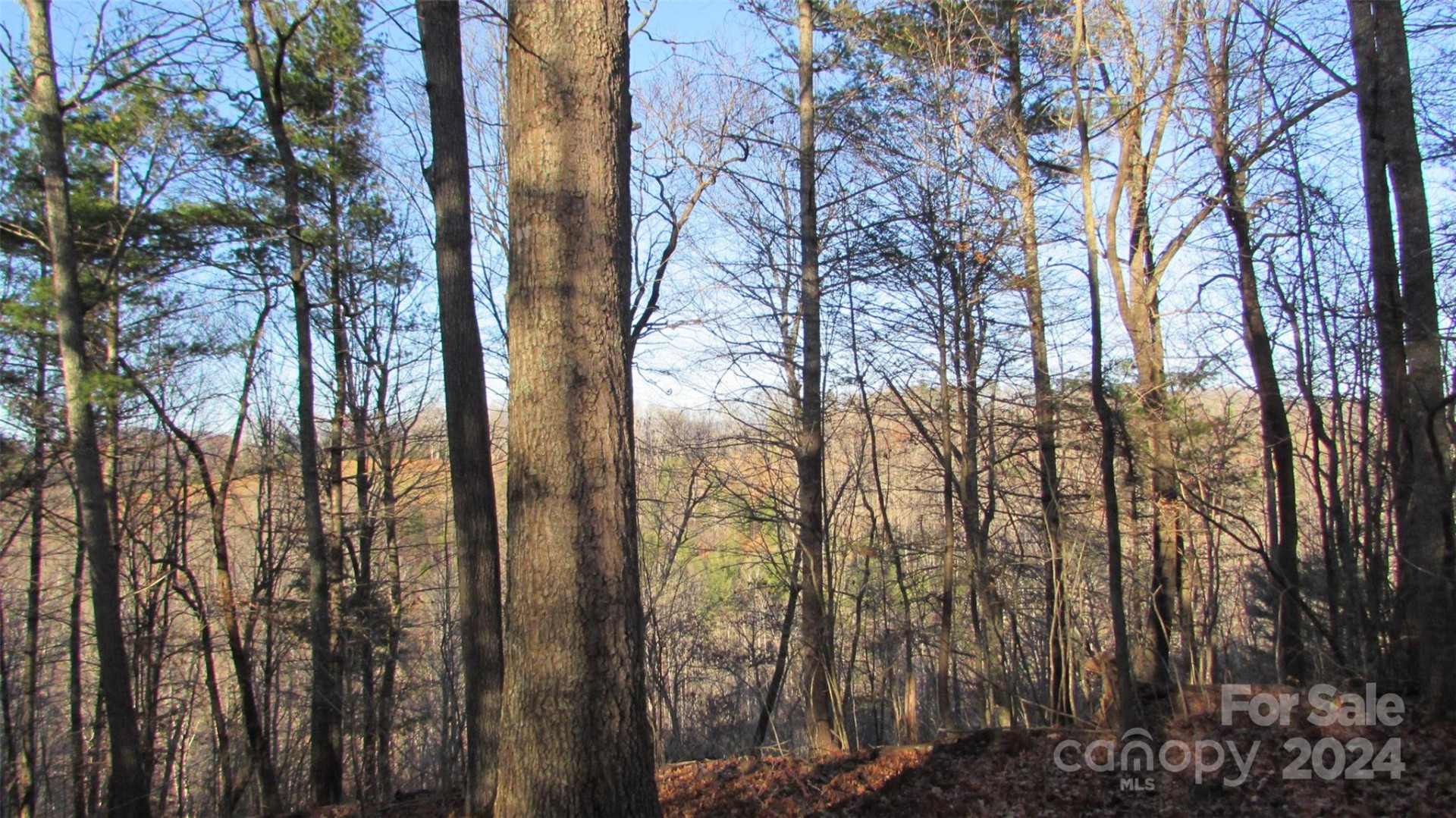 00 High Peak Drive #61 - Photo 11