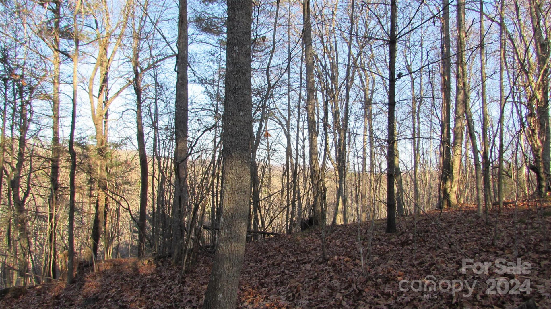 00 High Peak Drive #61 - Photo 12