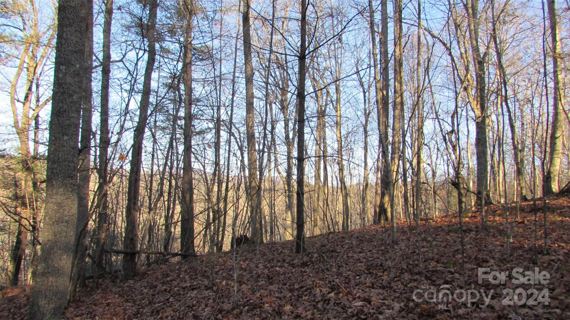 00 High Peak Drive #61 - Photo 13