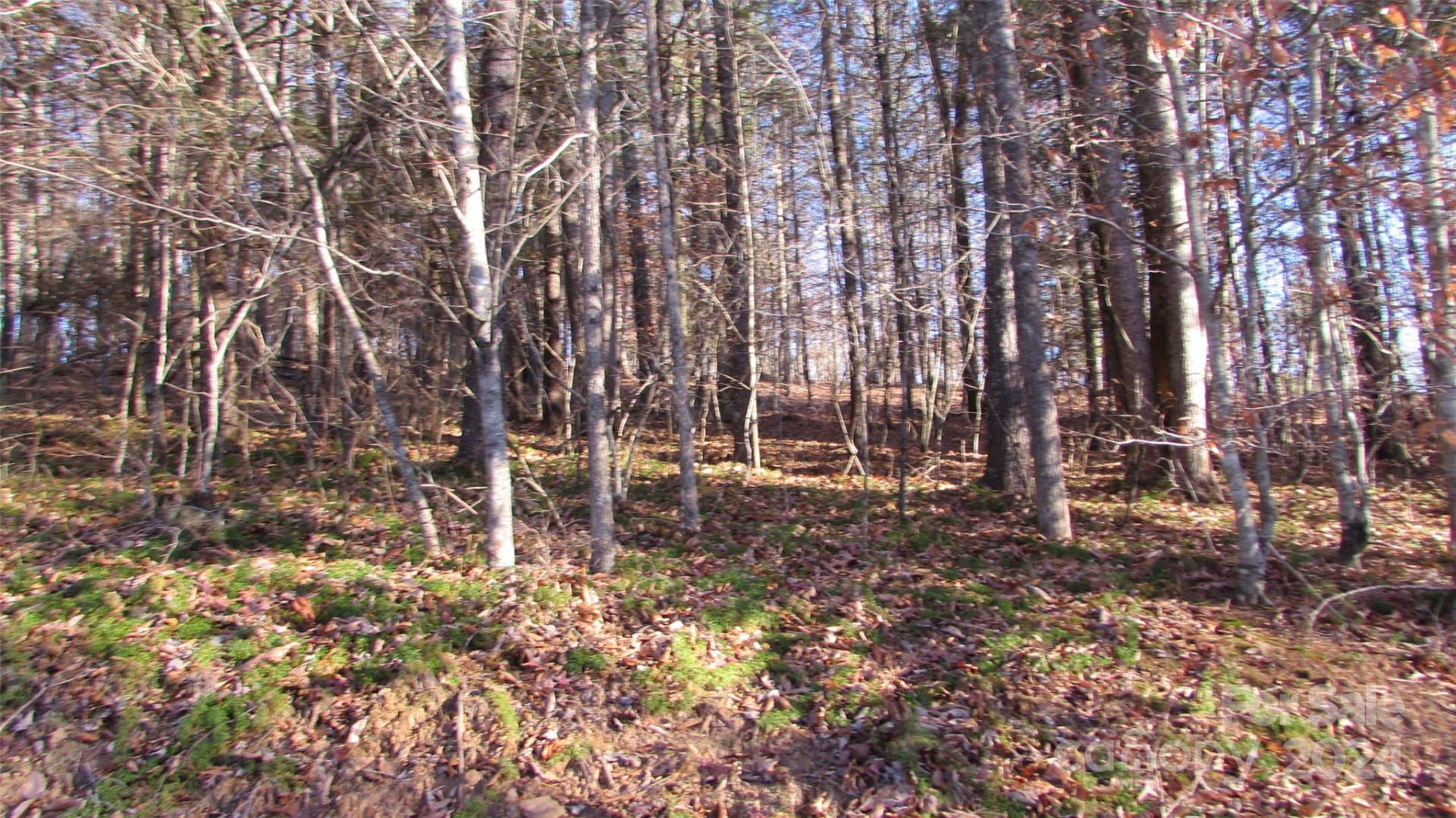 00 High Peak Drive #61 - Photo 15