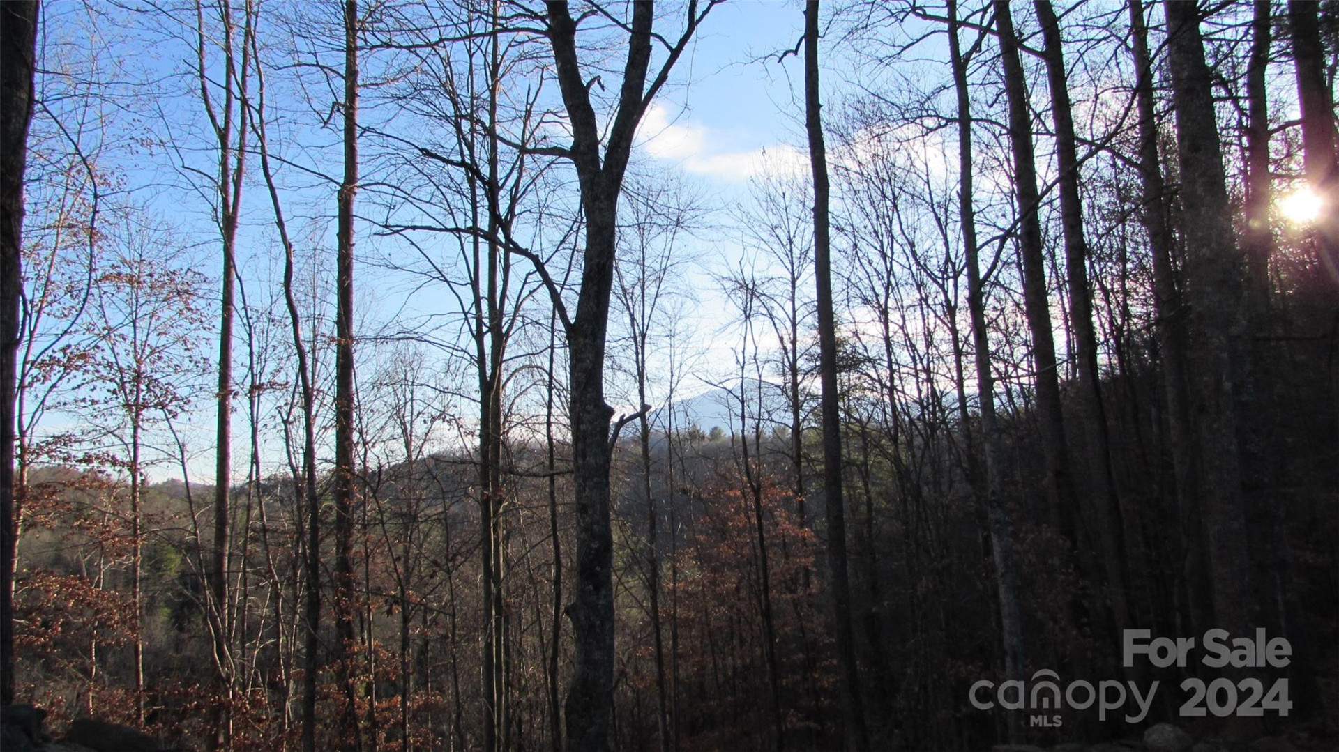 00 High Peak Drive #61 - Photo 16