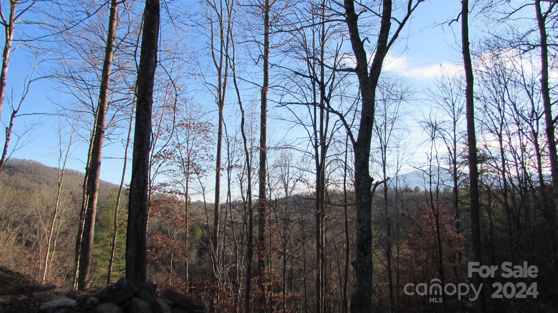 00 High Peak Drive #61 - Photo 17