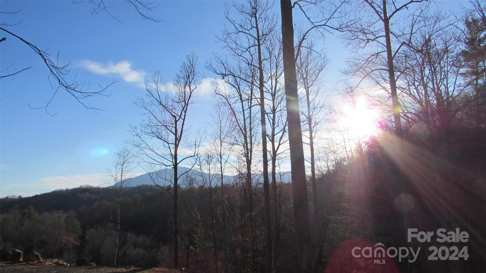 00 High Peak Drive #61 - Photo 18