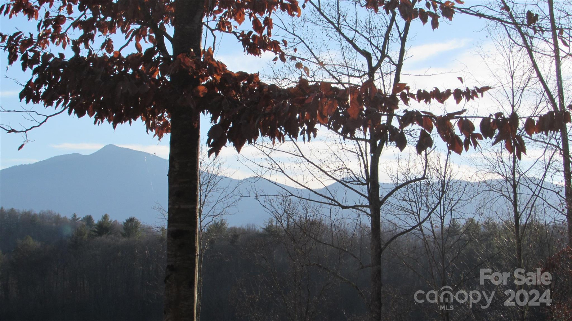 00 High Peak Drive #61 - Photo 19