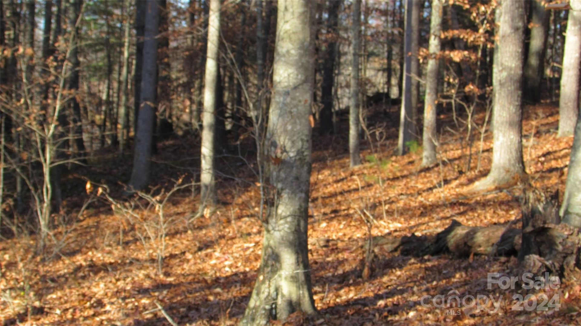 00 High Peak Drive #61 - Photo 4