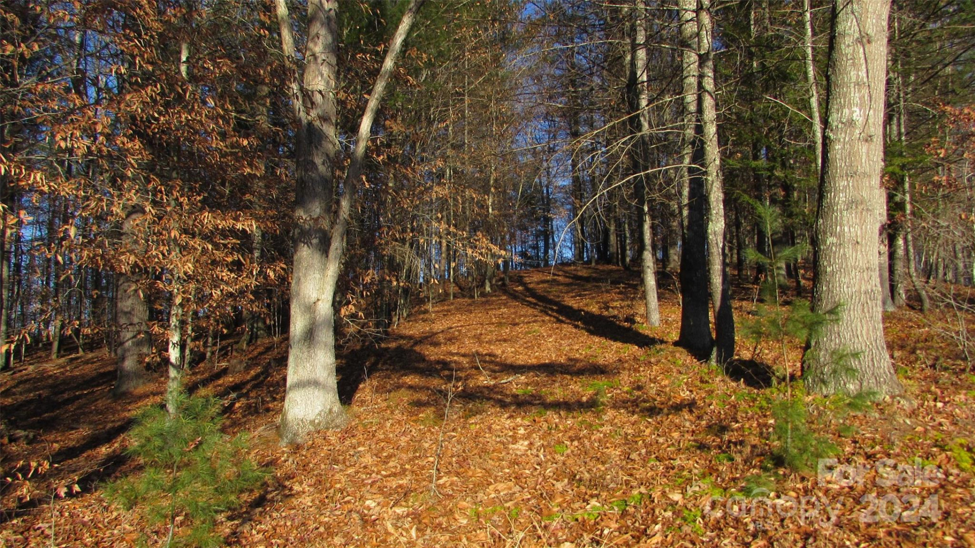 00 High Peak Drive #61 - Photo 7