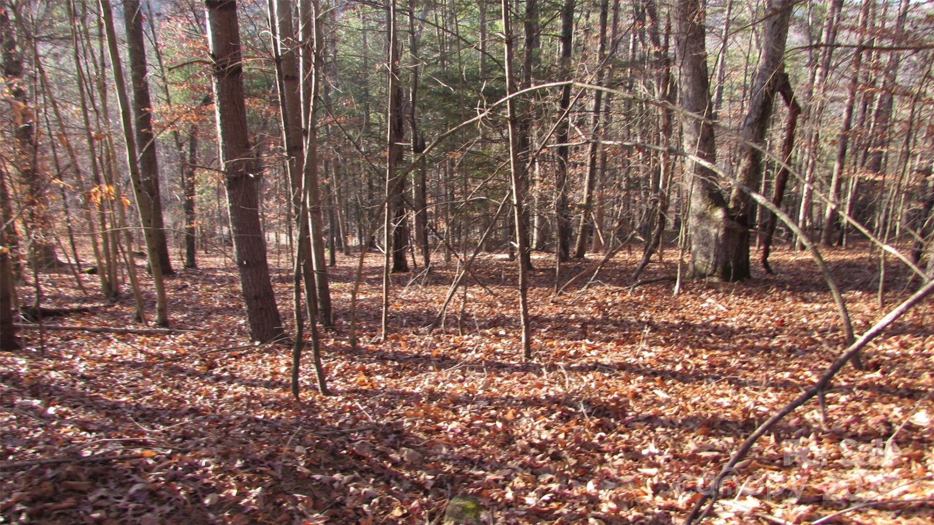 00 High Peak Drive #61 - Photo 9